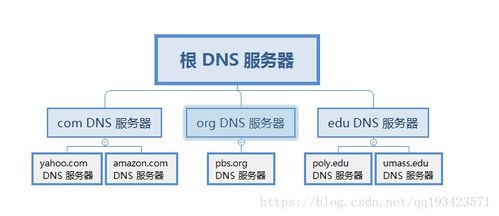 DNS服务协议中的技术服务与技术开发内容解析