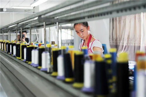 喜报 巢湖市科技创新添活力，5家企业晋升科技型中小企业行列